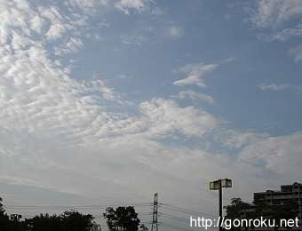 20050811up2.jpg
